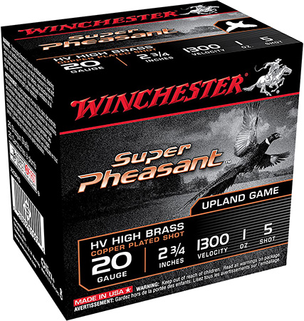 Winchester 20 Gauge Brass