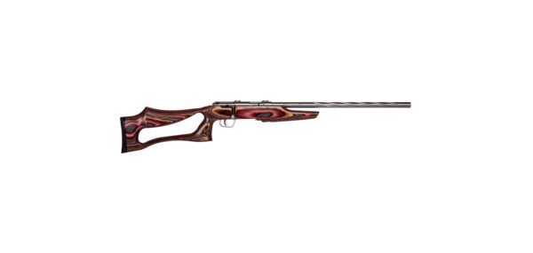 SAVAGE ARMS MARK II 22LR BOLT SS/EVO LAM #