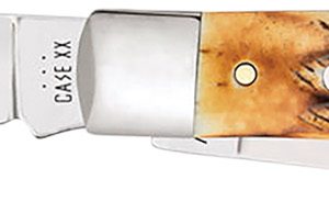 Case 03573 Trapper  3.25" Folding Clip Point/Spey Plain Mirror Polished Tru-Sharp SS Blades, Burnt Dark Amber 6.5 BoneStag Handle