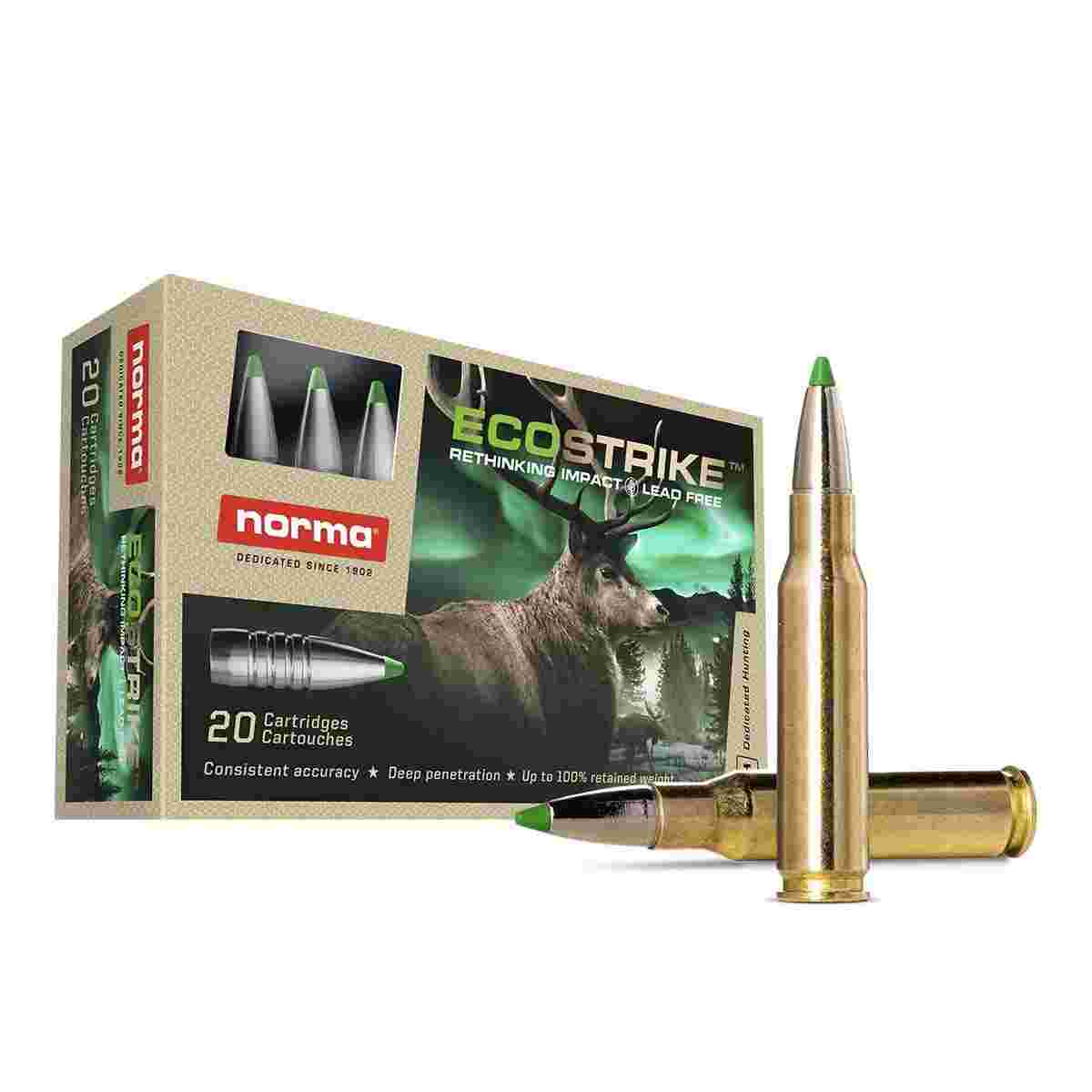 norma .300 Win Mag 165gr
